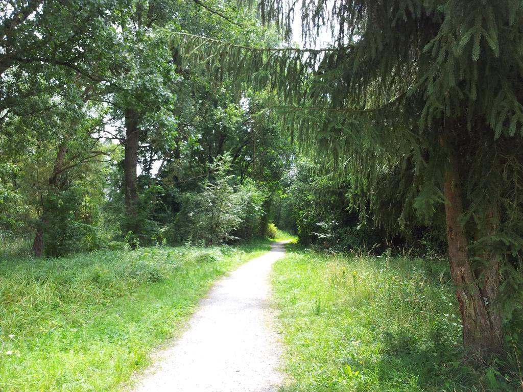 Spreewaldhaus Zum Schoberplatz Appartement Lübben Buitenkant foto